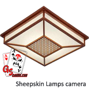 Celing lamp hidden infrared poker camera